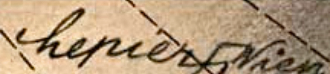 オレンジ色の背景に斜線が引かれ、筆記体で「Erich Lepier」と書かれている。「r」には鉤十字が加えられ、右側の「Wien」という単語と繋がっている。