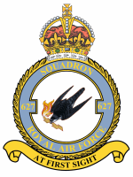 紋章 - イギリス空軍第 627 飛行隊 (パスファインダー)