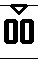体