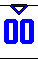 体