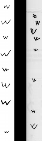 文字の形 シン フェニキア語