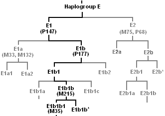 E1b1b1 起源マップ