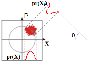 図3: 限界分布