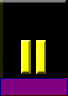 テニエンテ(メキシコ空軍)