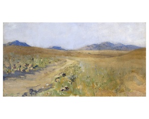 晴れたアリゾナの日の風景を描いた油絵。絵の左側には道路があり、その周囲には雑草と低い丘が広がっています。絵の奥には高い山々が見えます。