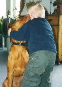 幼い子供が犬を抱きしめている