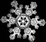 雪の結晶は6回対称性を持っています。