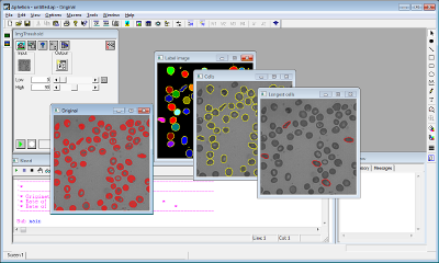 以前のバージョンのAphelion(バージョン3.2j)のGUI。画像ごとに複数の独立したウィンドウが表示されます(複数ドキュメントインターフェース)。
