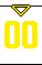 体