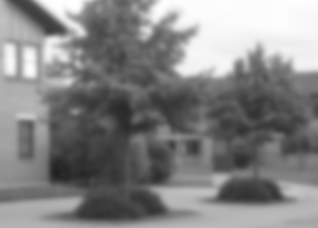 スケール空間表現 L ( x , y ; t ) {\displaystyle L(x,y;t)} スケール t = 4 {\displaystyle t=4}