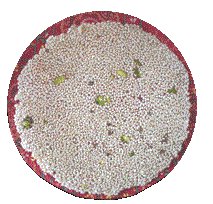 ティルパティ – インドのゴマを使ったお菓子