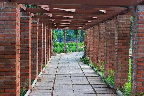 公園の歩道