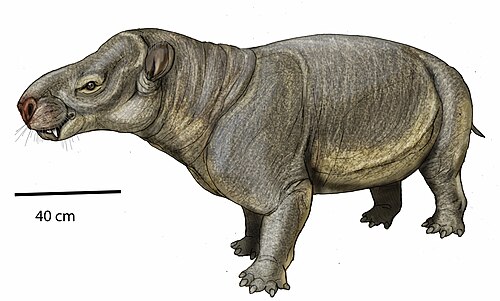 Asiocoryphodon conicusの生態復元図