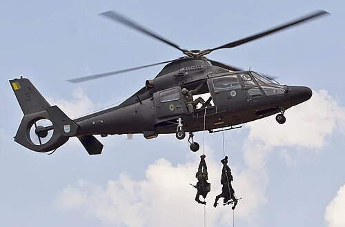 航空軍のAS565パンサーを装備した空挺歩兵