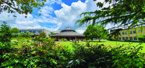 木々の間から見えるプリマス・マージョン大学の礼拝堂。