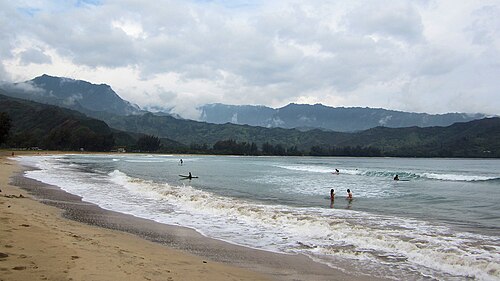 砂浜