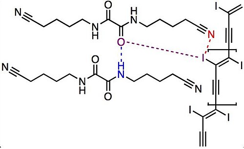 重合後の結晶構造：酸素原子（紫色）は、ポリマーのヨウ素置換基と水素結合（青色の破線）および弱いハロゲン結合を形成する。ヨウ素は末端ニトリル（赤色の破線）ともハロゲン結合を形成する可能性がある。