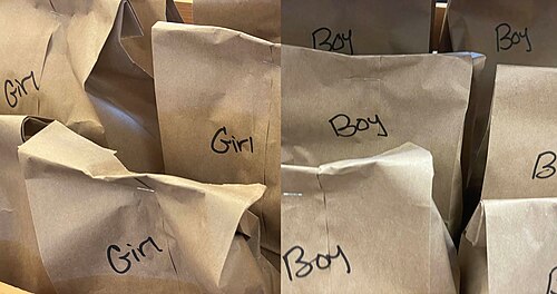 「女の子用」と「男の子用」とラベルの貼られた茶色の紙袋