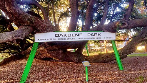 オークデン公園の入り口の看板（背景に木あり）