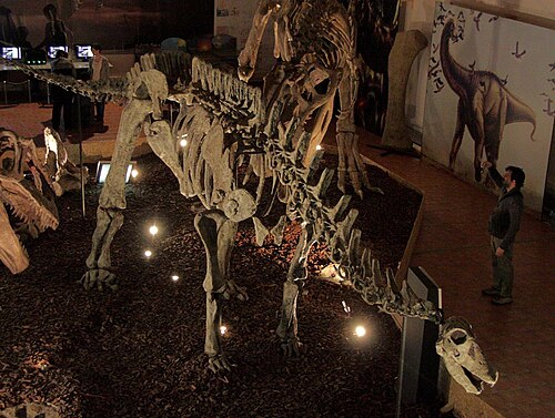 ギリシャのアテネ国立工科大学に展示されているリマイサウルスの骨格