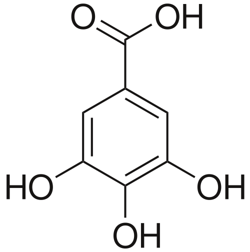 骨格式