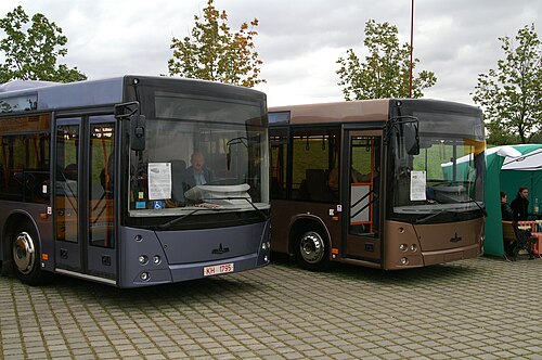 MAZ-203およびMAZ-206バス