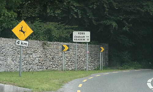 R285道路ロスコモ​​ン.JPG