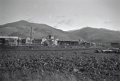 ダン 1940