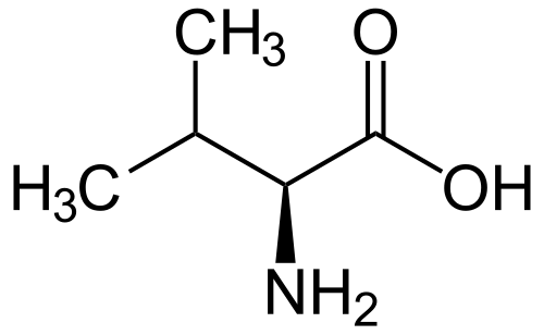 L-バリン（Val / V）