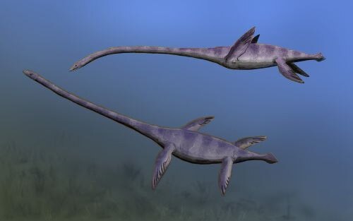 水中を泳ぐ2匹のエラスモサウルスの絵。