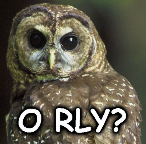 「O RLY」の文字が重ねられたフクロウの頭の写真。