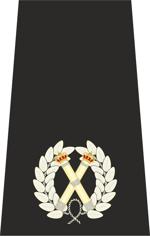 英国警察副警視長の肩章