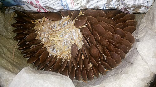 ケララ州（インド）のパームシュガー – 伝統的な家内工業