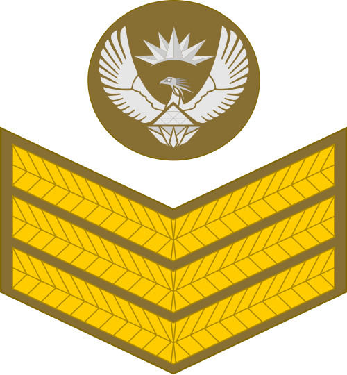 上級軍曹（南アフリカ陸軍）