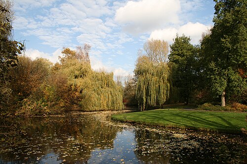 公園（2007年11月）