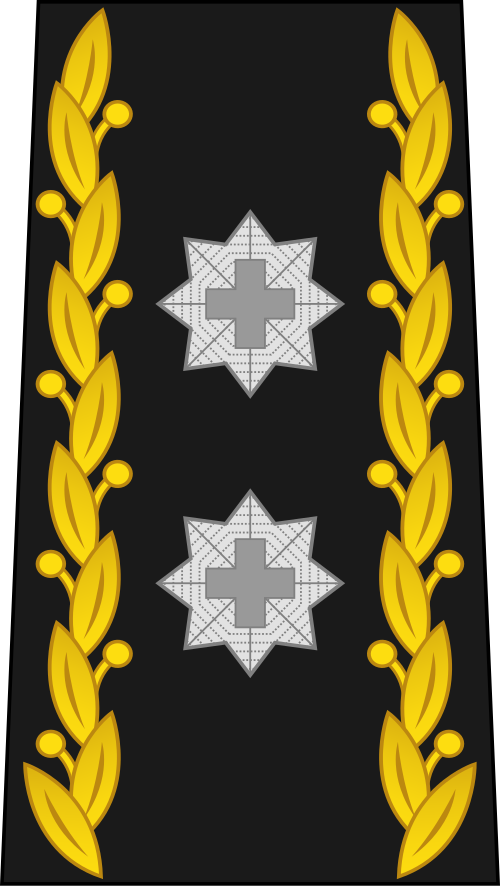 師団（フランス語：Divisionnaire）（スイス軍）