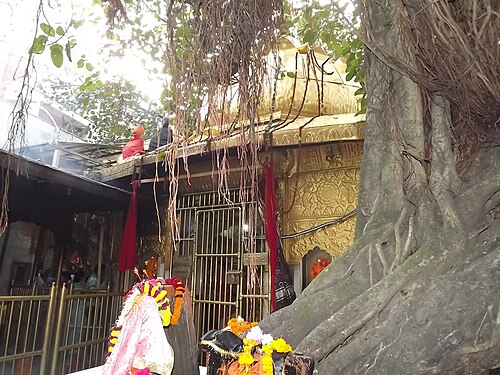 チントプルニ デヴィ寺院