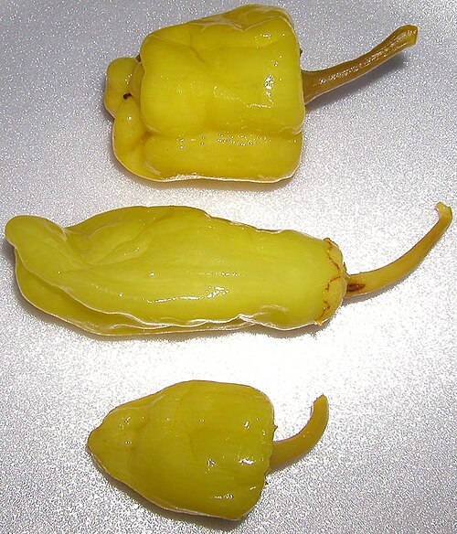 ペペロンチーニ（C. annuum）