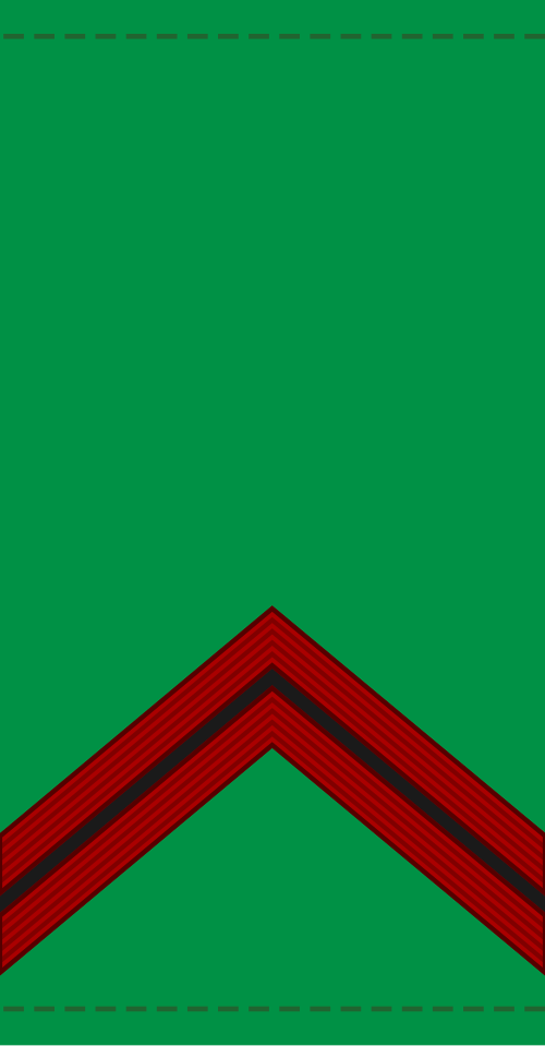 カポラル（マリ軍）