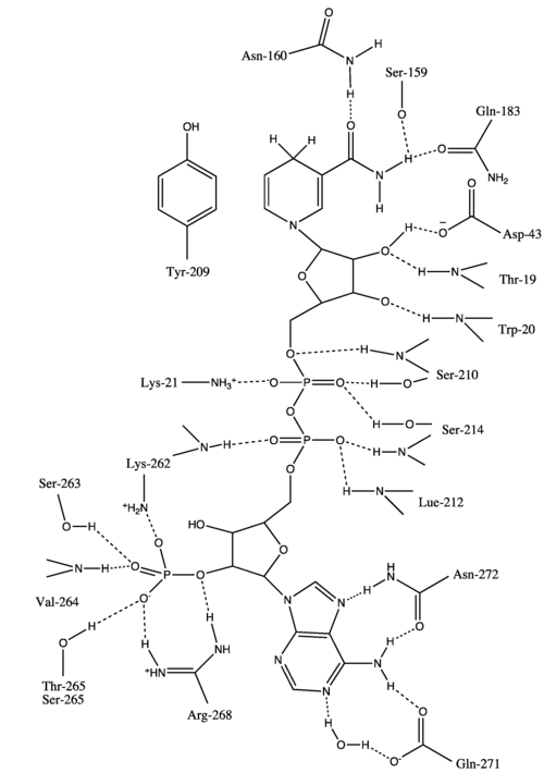 経路の代替テキスト