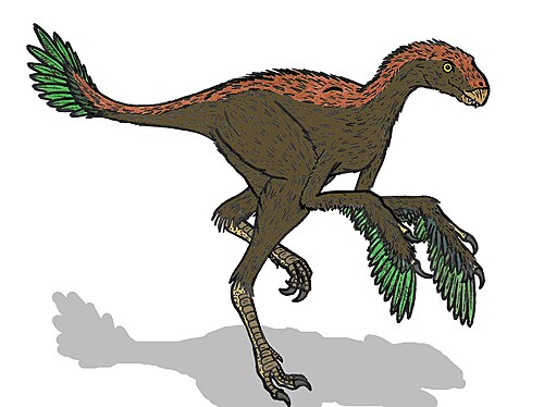 原始的な鳥の化石を、求愛行動に小さな翼を使っていたかのように復元した芸術家による図。