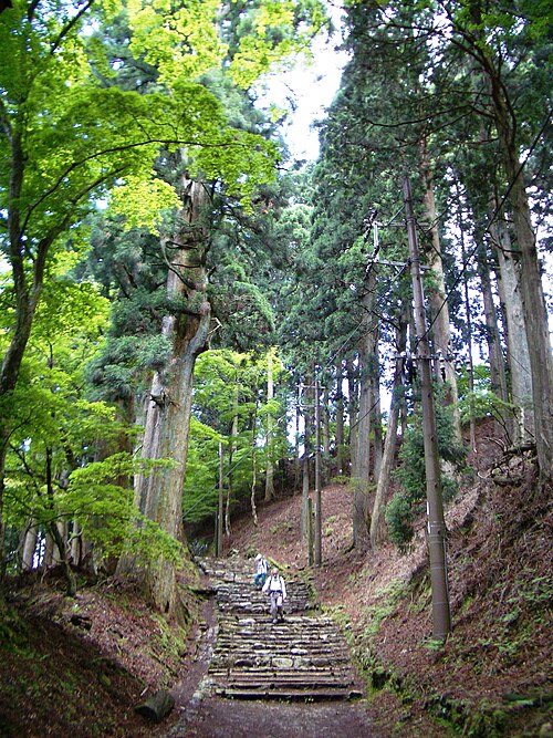 愛宕山の頂上への道