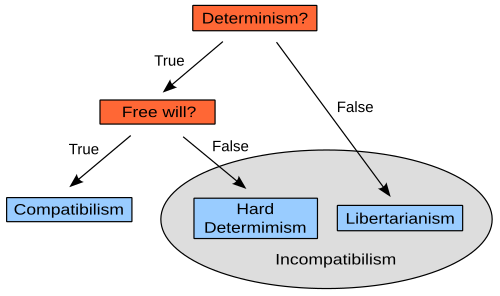 図。上部には「決定論？」とラベル付けされたオレンジ色のボックスがあり、そこから2本の矢印が他のボックスを指している。「真」とラベル付けされた矢印は「自由意志？」とラベル付けされたオレンジ色のボックスを指し、「偽」とラベル付けされた矢印は「自由意志論」とラベル付けされた水色のボックスを指している。「自由意志？」とラベル付けされたボックスには、他のボックスを指す2本の矢印がある。「真」とラベル付けされた矢印は「両立論」とラベル付けされた水色のボックスを指し、「偽」とラベル付けされた矢印は「厳密な決定論」とラベル付けされた水色のボックスを指している。「厳密な決定論」と「自由意志論」とラベル付けされた2つの水色のボックスは、「非両立論」とラベル付けされた灰色の楕円で囲まれている。