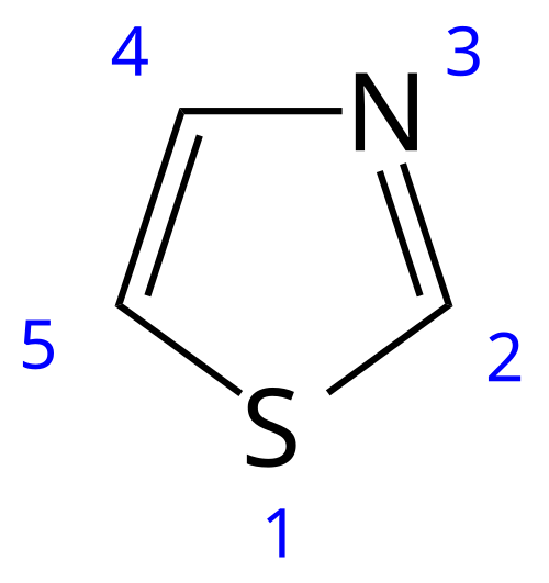 数字による骨格式