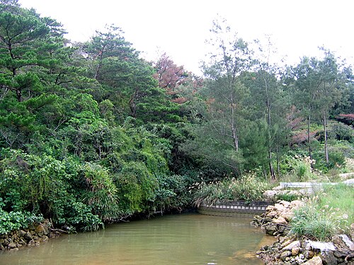 沖縄の池