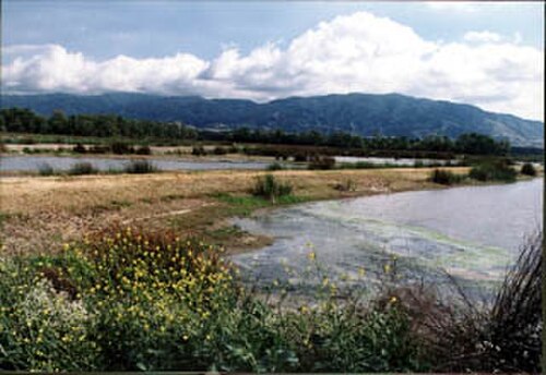 細長い植生帯で隔てられた水たまりと、遠くに見える山々