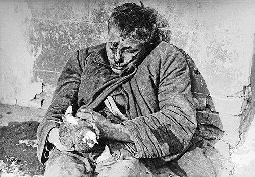 1941年11月28日、ロストフを占領していたドイツ軍に鳩を飼っていたために殺害されたソ連の10代の若者、ヴィクトル・チェレヴィキン。