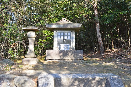 楠木
