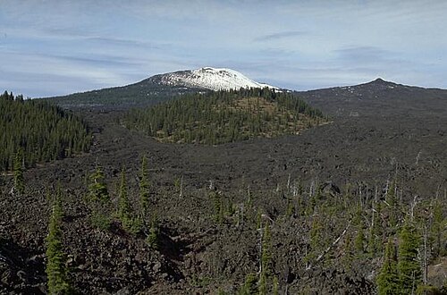 背景にあるベルナップ楯状火山の前には小さな森が広がっています。