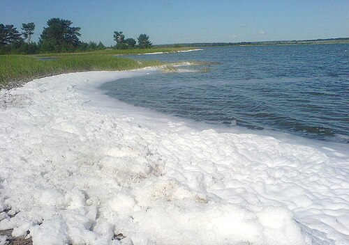 ゴリコエ湖、ノビチヒンスキー地区